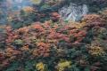 奈良県景観資産パネル展の開催について