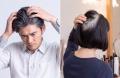 気になる白髪も、透ける頭皮も。サッとひと塗り、ふん