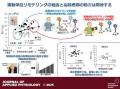 加齢に伴う「運動神経の変性」の程度が、高齢者の筋力 加齢に伴う「運動神経の変性」の程度が、高齢者の筋力