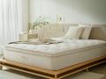“秋カビ”が気になる季節に、睡眠ブランド「NELL」のマ