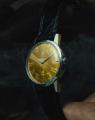 時が描いた黄金の大地。1950年代のOMEGA Seamaster “G