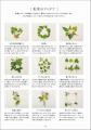 図案なしでできる！身近な植物を使って作る『草花刺繍
