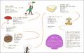 子どもから大人まで、菌類の世界がまるごとわかる科学