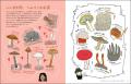 子どもから大人まで、菌類の世界がまるごとわかる科学