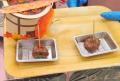 【松坂屋上野店】福島の秋の味覚が大集合！「ふくしま