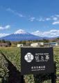 ワイナリーのように、抹茶を飲み比べる。MAME-TO-CHA ワイナリーのように、抹茶を飲み比べる。MAME-TO-CHA