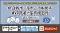 11月22日(日)ファンフェスティバル2026 「いざゆけ 11月22日(日)ファンフェスティバル2026 「いざゆけ