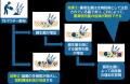 持続可能な農業と循環型社会の形成に寄与する「竹パウ 持続可能な農業と循環型社会の形成に寄与する「竹パウ