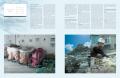 【デザイン誌「AXIS」増刊】「SEMBA NEW STATEMENT 空