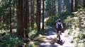 鉄道で山へ。自転車で地域の物語へ。富山地方鉄道・立 鉄道で山へ。自転車で地域の物語へ。富山地方鉄道・立