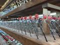 【羽田エアポートガーデン初出店】かんざし専門店『か