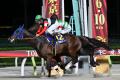 10月7日（水）3歳ダート三冠競走最終戦「ジャパンダー
