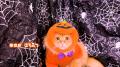 いなばペットフード　仮装姿の猫ちゃんたちが彩る「CI