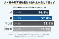 【500人調査】ペット飼育者の48%が掃除・消臭をして 【500人調査】ペット飼育者の48%が掃除・消臭をして