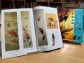 【三重県・伊勢市】秋のお伊勢参りを彩る日本画展　伊