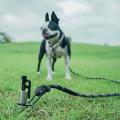 遊びのフィールドを愛犬ともっと広く、もっと一緒に。