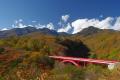 【山梨・八ヶ岳】紅葉の道の先に、森で過ごす豊かな時 【山梨・八ヶ岳】紅葉の道の先に、森で過ごす豊かな時