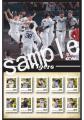 藤川球児監督＆虎戦士9人が写真切手に　サンスポオリ