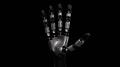 HumansX、20自由度ロボットハンド「Wuji Hand 2」とデ HumansX、20自由度ロボットハンド「Wuji Hand 2」とデ