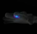 HumansX、20自由度ロボットハンド「Wuji Hand 2」とデ HumansX、20自由度ロボットハンド「Wuji Hand 2」とデ