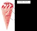 商品と出会った瞬間から始まる“スイーツ体験”を追求 2