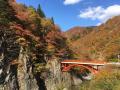 求人票だけでは分からない“地方で働く”を体験 長野県 求人票だけでは分からない“地方で働く”を体験 長野県