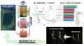 【東京農業大学（研究成果）】アッケシソウが元utf-8
