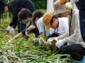 通信制高校の生徒約50名が農業・調理・震災学習を体験 通信制高校の生徒約50名が農業・調理・震災学習を体験