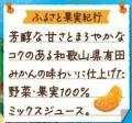 ～　芳醇な甘さとまろやかなコクのある和歌山県有田み