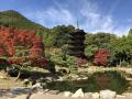 【日比谷花壇×山口県】100万本のコスモスが咲き誇る秋
