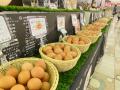 サンシャインシティの秋の食イベントご紹介！　サンシ