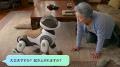 ヘルスケア分野向けソーシャルロボット「Home LEutf-8