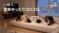 Makuake公開初日で応援購入総額540万円を突破！家族4