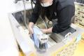 「猫を学ぶところから始めた先生たち」と「初めて猫を
