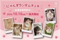 全国の代表にゃんずが集結！！あなたの1票で“推しにゃ