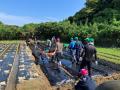 農業従事者の高齢化・後継者不足で増える「遊休農地」 農業従事者の高齢化・後継者不足で増える「遊休農地」