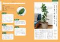 あなたのライフスタイルにぴったりの植物を提案!『は あなたのライフスタイルにぴったりの植物を提案!『は