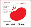 「ひとつぶに、驚きを。」ミツヤ、パッケージデザイン 「ひとつぶに、驚きを。」ミツヤ、パッケージデザイン
