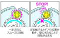 “静か”にキラめく静音設計の修正テープ 「ホワイパー 