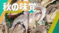 「ほっともっと」新CM公開！『カキフライのりタル弁当