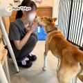 Pets Tokyo、保護犬たちへおやつを寄付。ピースワンコ