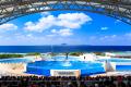 【沖縄美ら海水族館】オキちゃん劇場が地域と観光をつ