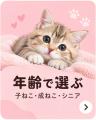 にゃんこのフード＆日常アイテムを定期便でご自utf-8