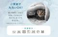 猫のこたつで、丸くなろう。いつものこたつを“猫仕様”