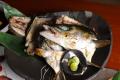 鳴門の一本釣りハマチ、大阪・本町へ直送！お造り・胡