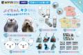 『鳥羽水族館』のなかまたちが大集合！　ラッコの「メ