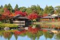 黄葉・紅葉まつり&秋の夜散歩2026開催|国営昭和記念 黄葉・紅葉まつり&秋の夜散歩2026開催|国営昭和記念