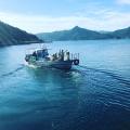 離島 秋の小豆島 昭和を彩る世界観～小豆島・二十四の