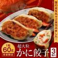 札幌直送！カニ足を2本包んだ１粒60gの餃子カニの身ぎ