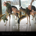 furfolk - 多機能ドッグハーネス「HUGNESS」に、待望